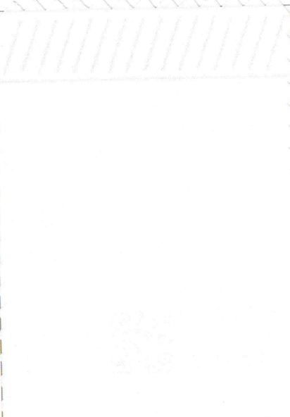 Camisa Blanca Non Iron| HAVOC