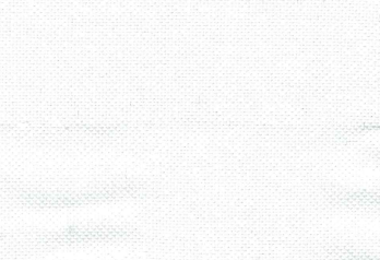 Camisa Pique Blanca| HAVOC