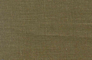 HAVOC Sobrecamisa Tafetan Ocre