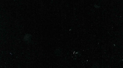 Jaquette Sarga Negro Jade| HAVOC