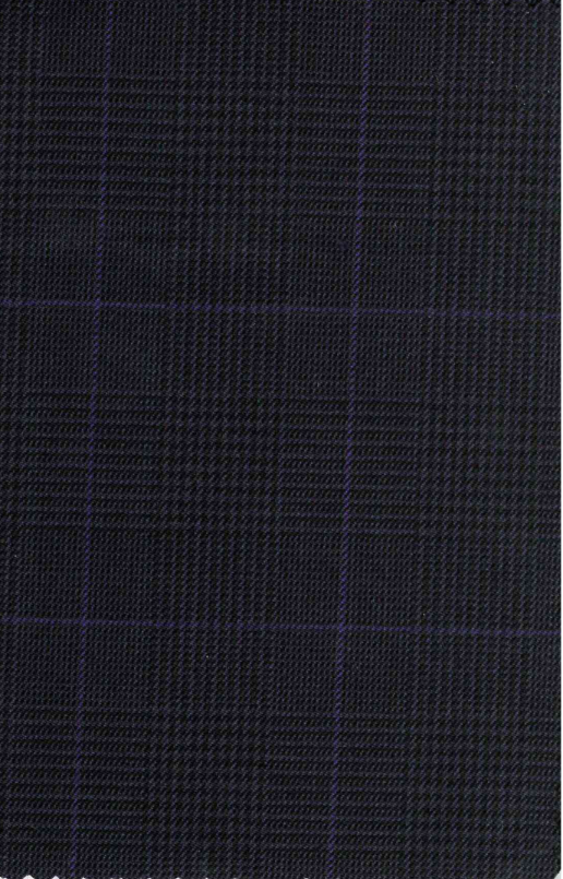 Chaleco Principe De Gales Azul Medianoche Y Morado| HAVOC
