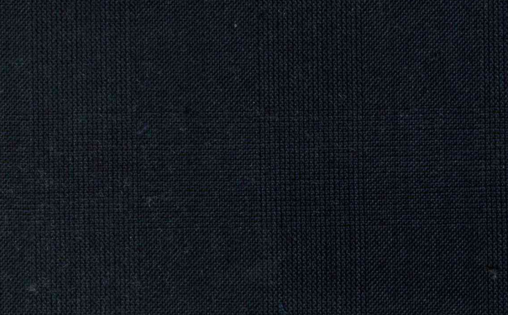HAVOC Pantalón Principe De Gales Azul Medianoche