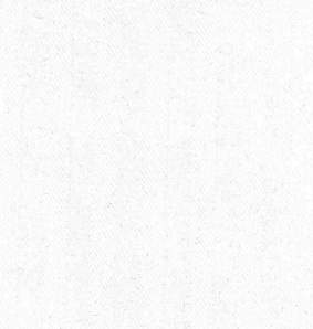 HAVOC Camisa Espiga Blanco Non Iron
