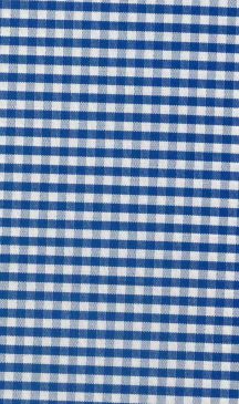 Camisa Cuadro Vichy Azul Y Blanco| HAVOC