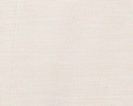 Camisa Rayas Beige Ap| HAVOC