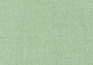 Camisa Pique Verde Pastel| HAVOC