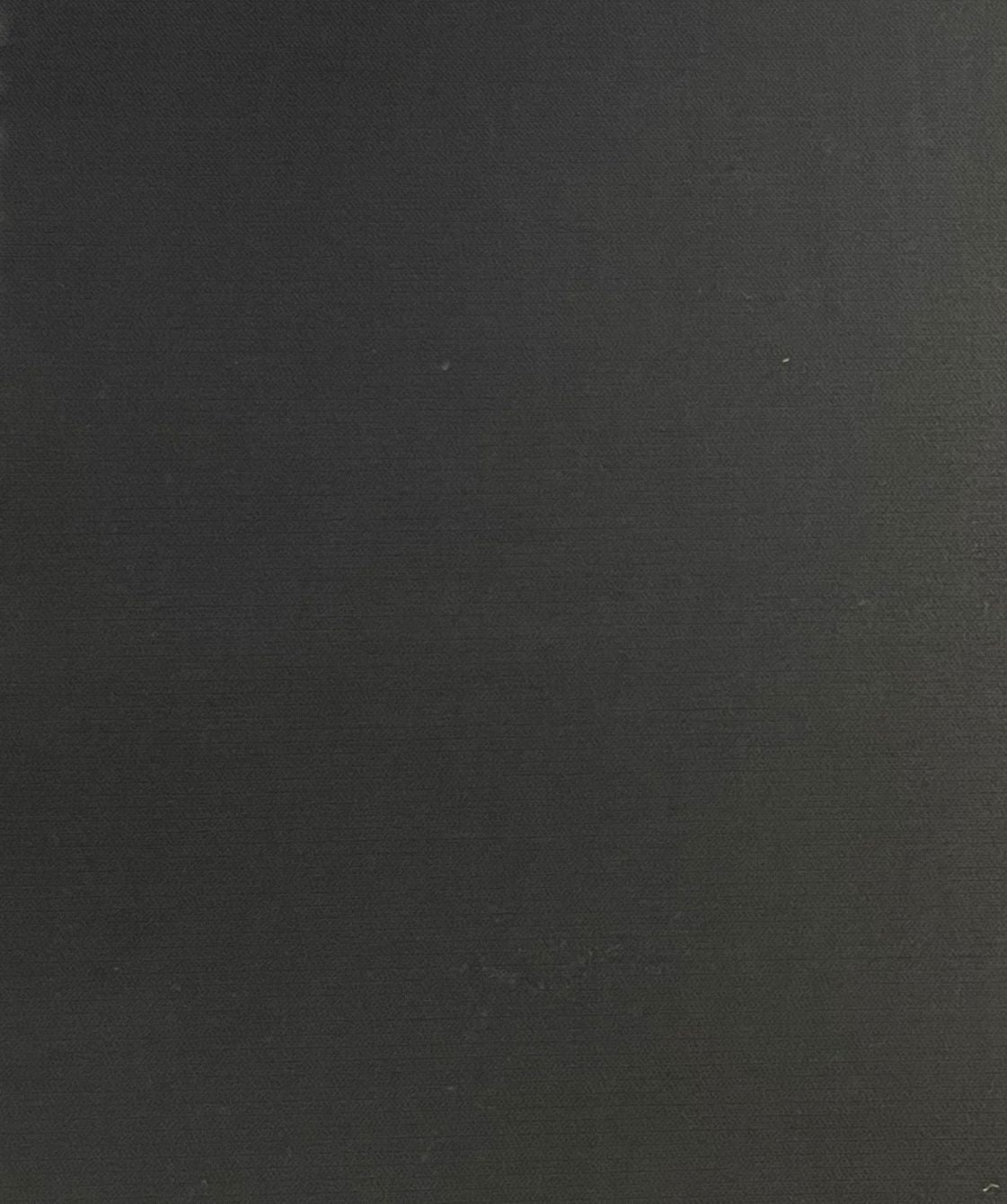 Pantalón Negro