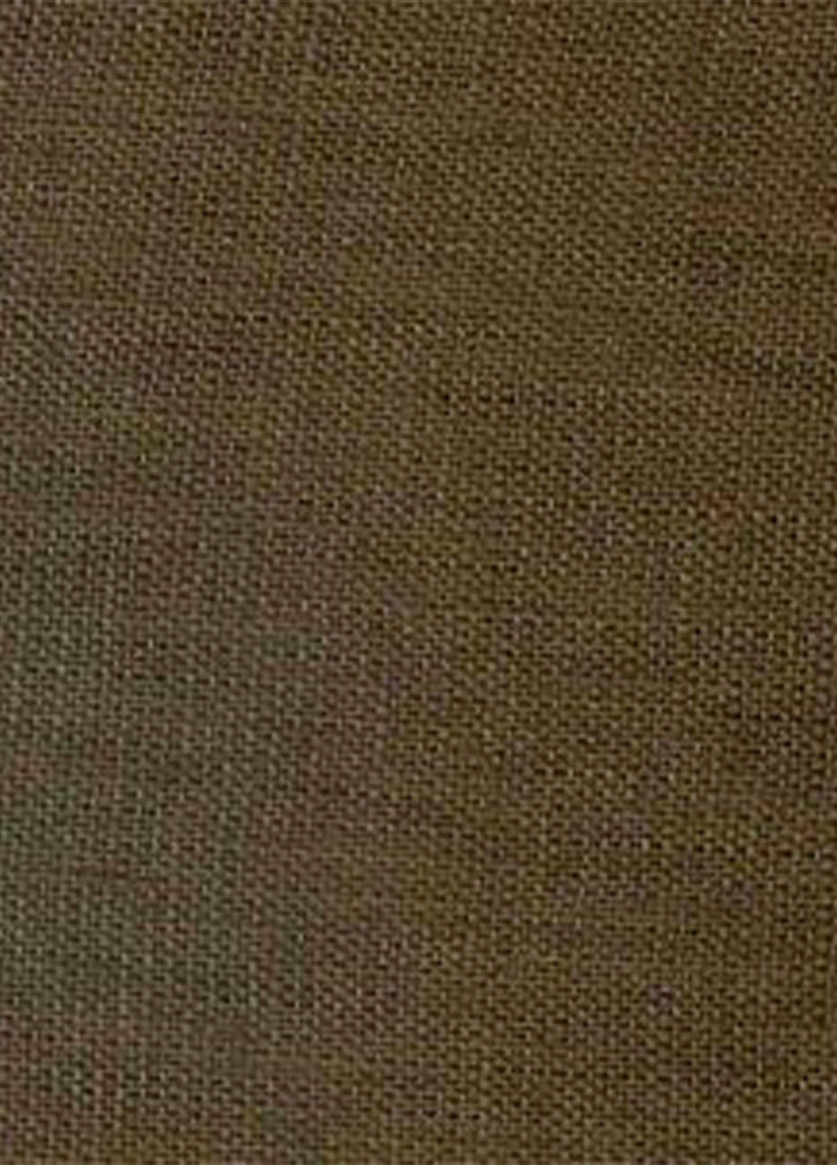 Camisa Liso Olivo| HAVOC