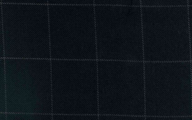 Pantalón Cuadro Ventana Azul Oxford| HAVOC