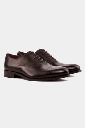 Zapato Oxford Piel Calf Cacao| HAVOC